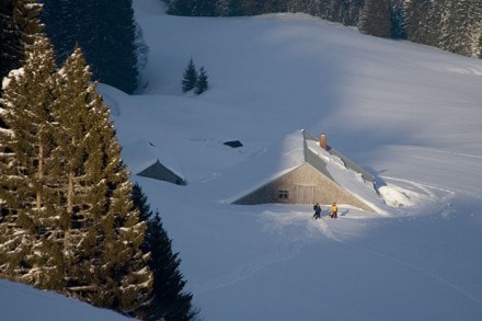 Oberallgäu: Rappengeschwend Alpe  (Gunzesried)