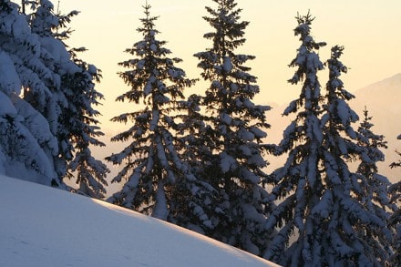 Oberallgäu: Von der Gunzesrieder Säge aus auf den Tennenmooskopf (Gunzesried)