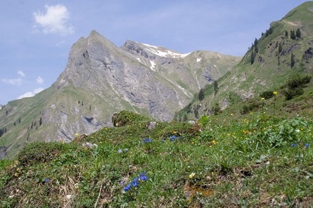 Oberallgäu: Aelpelesattel  (Oberstdorf)