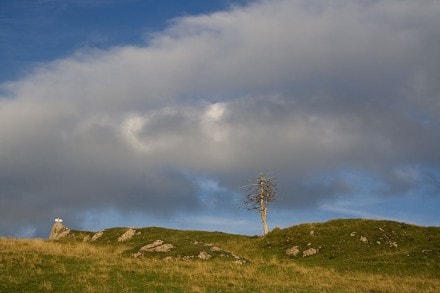 Oberallgäu: Von der Vordere Krumbach Alpe auf den Bärenkopf und Steineberg (Gunzesried)