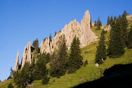 Oberallgäu: Über die Siplinger Nadel zum Siplingerkopf und Tennenmooskopf (Gunzesried)