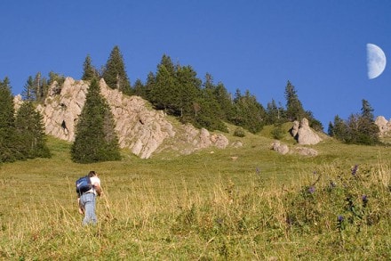 Oberallgäu: Siplingerkopf (Gunzesried)