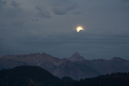 Oberallgäu: Über die Vordere Aualpe hoch auf den Tennenmooskopf (Gunzesried)