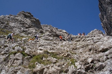 Kleinwalser Tal: Widderstein (Baad)