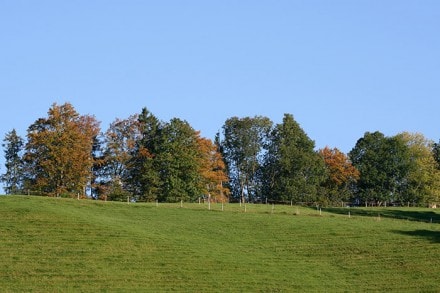 Oberallgäu: Tour (Gunzesried)