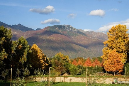Kanton Tessin:  (Ascona - Lago Maggiore-)