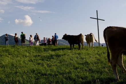 Oberallgäu: Thaler Höhe (Wiedmannsdorf)
