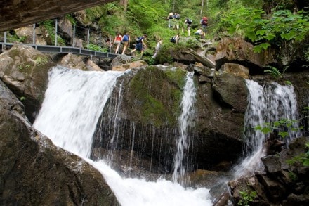 Oberallgäu: Gaistobel (Obersdorf)