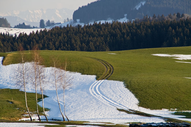 Wandertour rund um den Wiggensbacher Höhenweg (Wiggensbach - Oberallgäu / 2007)