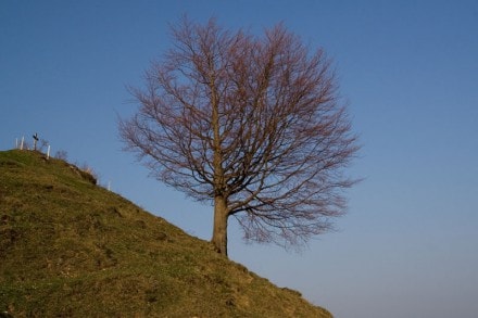 Oberallgäu:  (Oberstaufen)