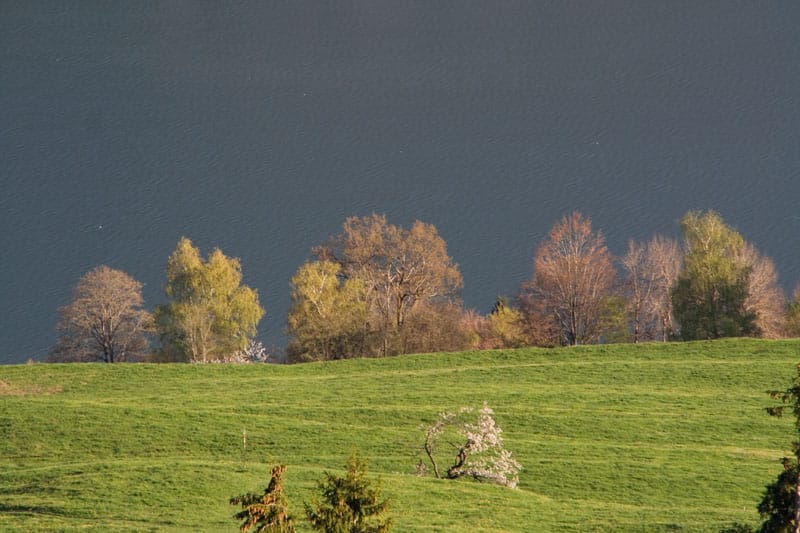 Vom Schlettermoos zum Köpfle und zur Thaler Höhe (Oberstaufen - Oberallgäu / 2007)