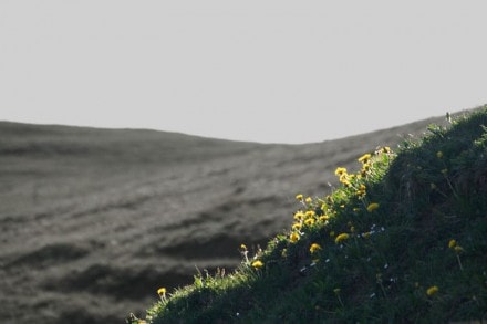 Oberallgäu: Schlettermoos (Oberstaufen)