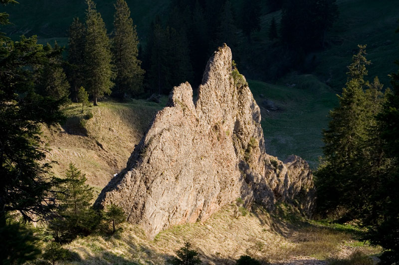 3 Gipfeltour - Siplingerkopf, Heidenkopf, Girenkopf (Gunzesried - Oberallgäu / 2007)