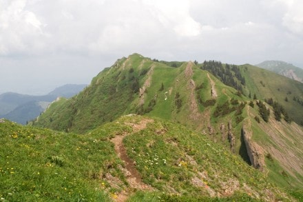 Oberallgäu: Buralpkopf (Gunzesried)