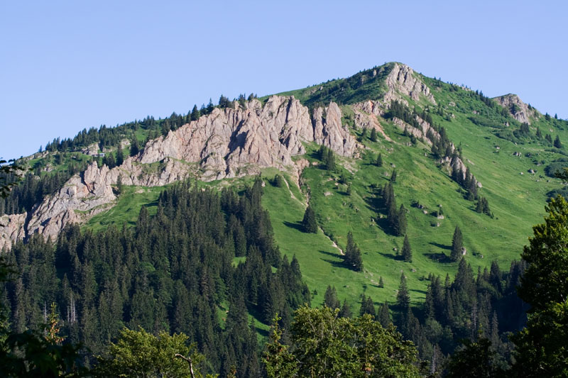 Hintere Au-Alpe (Gunzesried) hoch auf das Rindalphorn (Gunzesried - Oberallgäu / 2007)