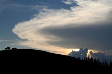 Oberallgäu: Denneberg (Oberstaufen)