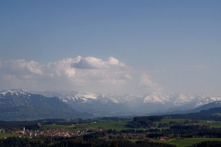 Oberallgäu: Blender (Wiggensbach)
