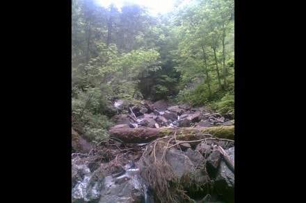 Ostallgu: Hllschlucht (Pfronten-Kappel)