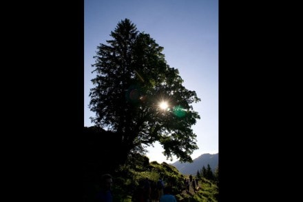 Oberallgu: Tour (Gunzesried)