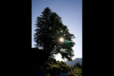 Oberallgäu: Tour (Gunzesried)