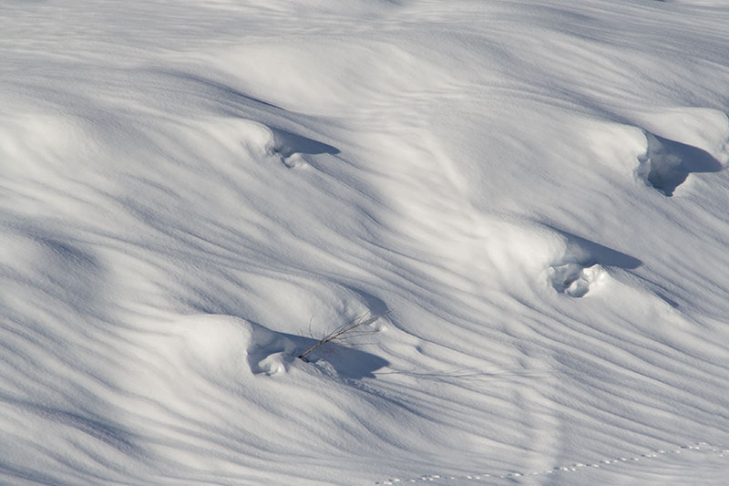 Schneeschuhtour über den Scheuenpaß auf den Piesenkopf (Balderschwang - Oberallgäu / 2008)