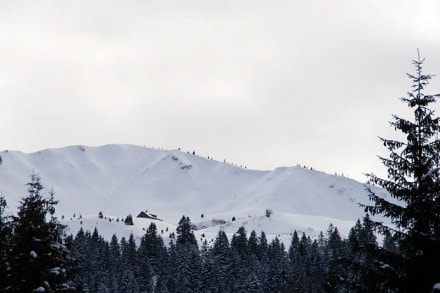 Oberallgäu: Bleicherhorn (Gunzesried)