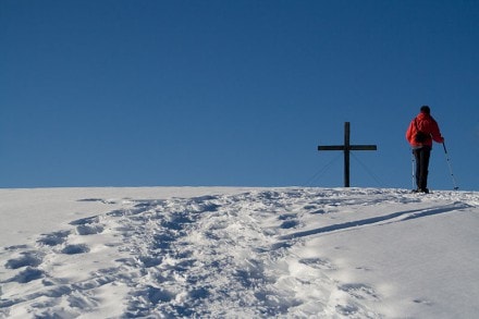 Oberallgäu: Hochschelpen (Balderschwang)