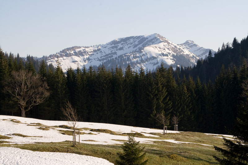 Von der Hornstube aus auf das Gschwender Horn (Immenstadt - Oberallgäu / 2008)