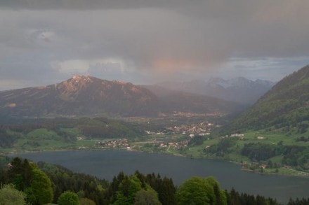 Oberallgu: Seeblick mit Blick auf den Alpsee bei Immenstadt (Immenstadt)