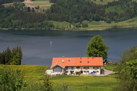 Vom Bühl am Alpsee auf das Immenstädter-Horn