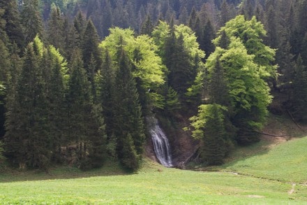 Oberallgäu: Kessel Alpe (Immenstadt)