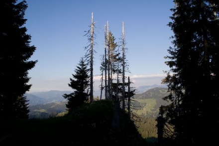 Oberallgäu: Grauer Stein (Gunzesried)