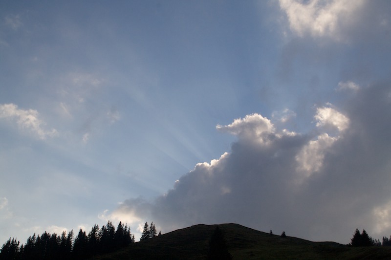 Über die Buchel Alpe zum Wertacher Hörnle (Oberjoch - Oberallgäu / 2008)