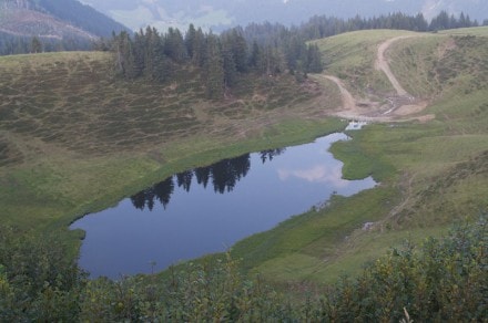 Oberallgäu: Wertacher Hörnle (Oberjoch)