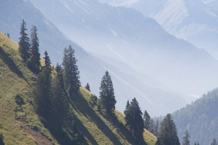 Oberallgäu: Von Nesselwängle zur Schneetalalm, Tannheimer-Haus und Gimpel-Haus (Nesselwängle)