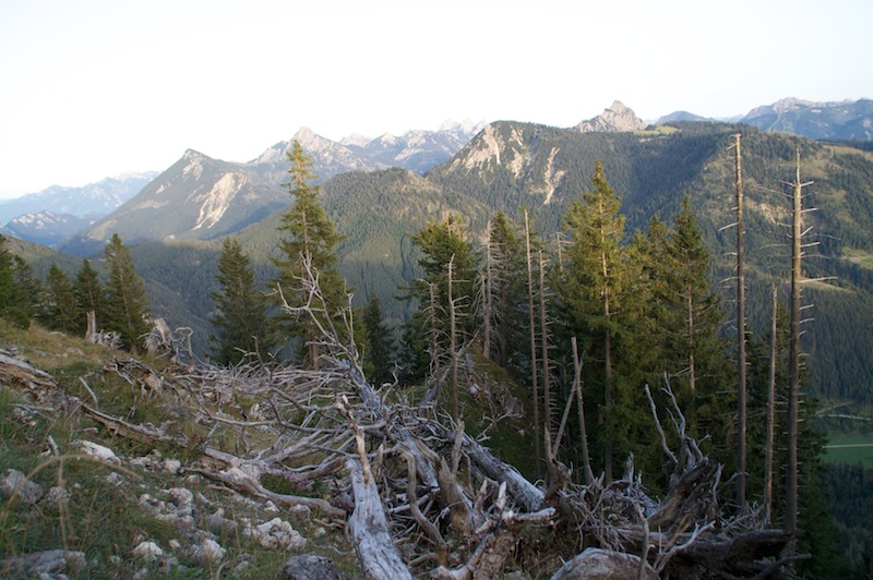 Vom Unterjoch aus über die Zehrerhöfe auf den Zinken (Oberjoch - Oberallgäu / 2008)