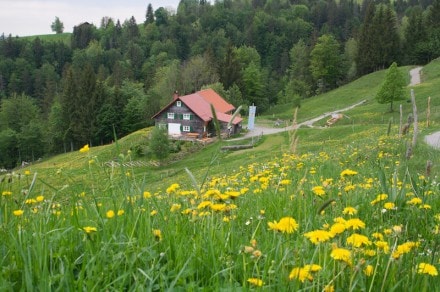 Oberallgu: Alpe Neugschend (Oberstaufen)