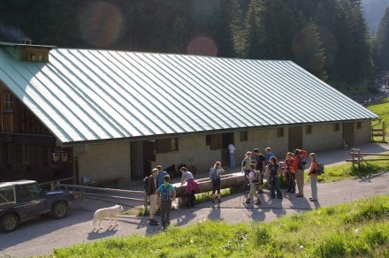 Oberallgäu: Zunkleiten Alpe (Bolsterlang)