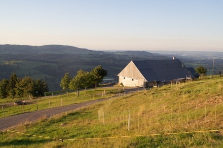 Oberallgäu: Starketsgund Alpe (Immenstadt)