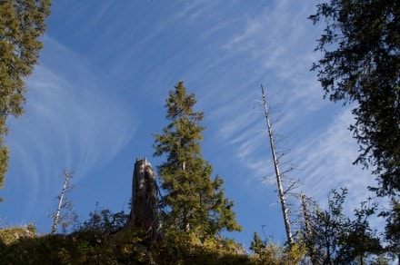 Kleinwalsertal: Der 2.143m hohe Hahnenkopf (Riezlern)