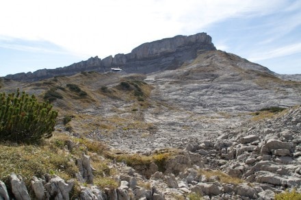 Kleinwalsertal: Hahnenkopf (Riezlern)