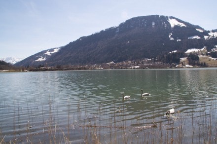 Oberallgu: Alpsee (Immenstadt)