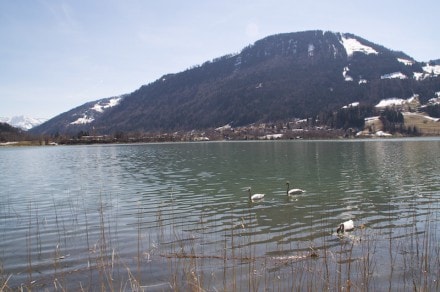 Oberallgäu: Alpsee (Immenstadt)