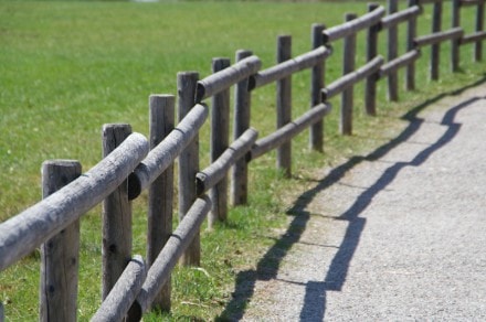 Oberallgäu: Seeumwanderung - Großer Alpsee bei Immenstadt (Immenstadt)