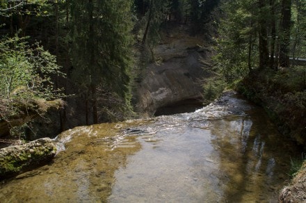 Westallgäu: Scheidegger Wasserfälle (Scheidegg)