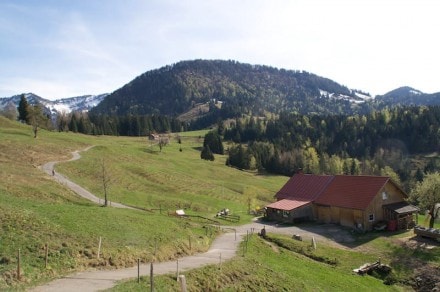 Oberallgu: Alpe Neugeschwend (Oberstaufen)