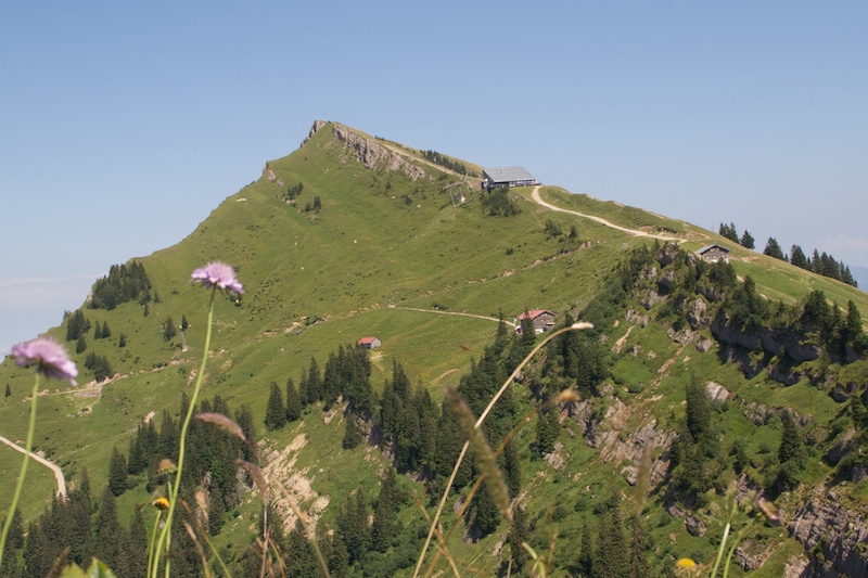 Nagelfluhkette: Hochgrat, Seelekopf, Hohenfluhalp Kopf, Einegundkopf, Auf dem Falken<br />(Oberstaufen - Oberallgäu / 2009)