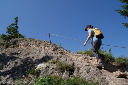 Oberallgäu: Einegundkopf (Oberstaufen)