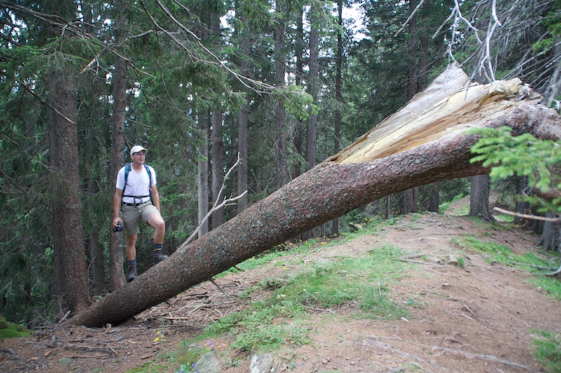 Von Bolsterlang entlang der Hörnergruppe - 4 Gipfeltour<br />(Bolsterlang - Oberallgäu / 2009)