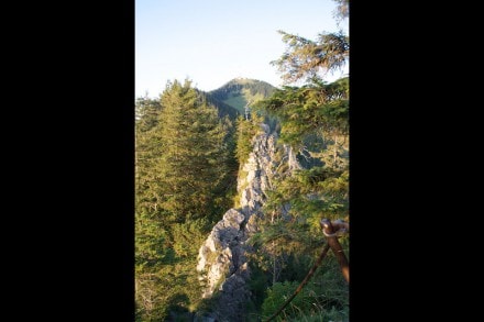 Oberallgäu: Burgberger Hörnle (Sonthofen)